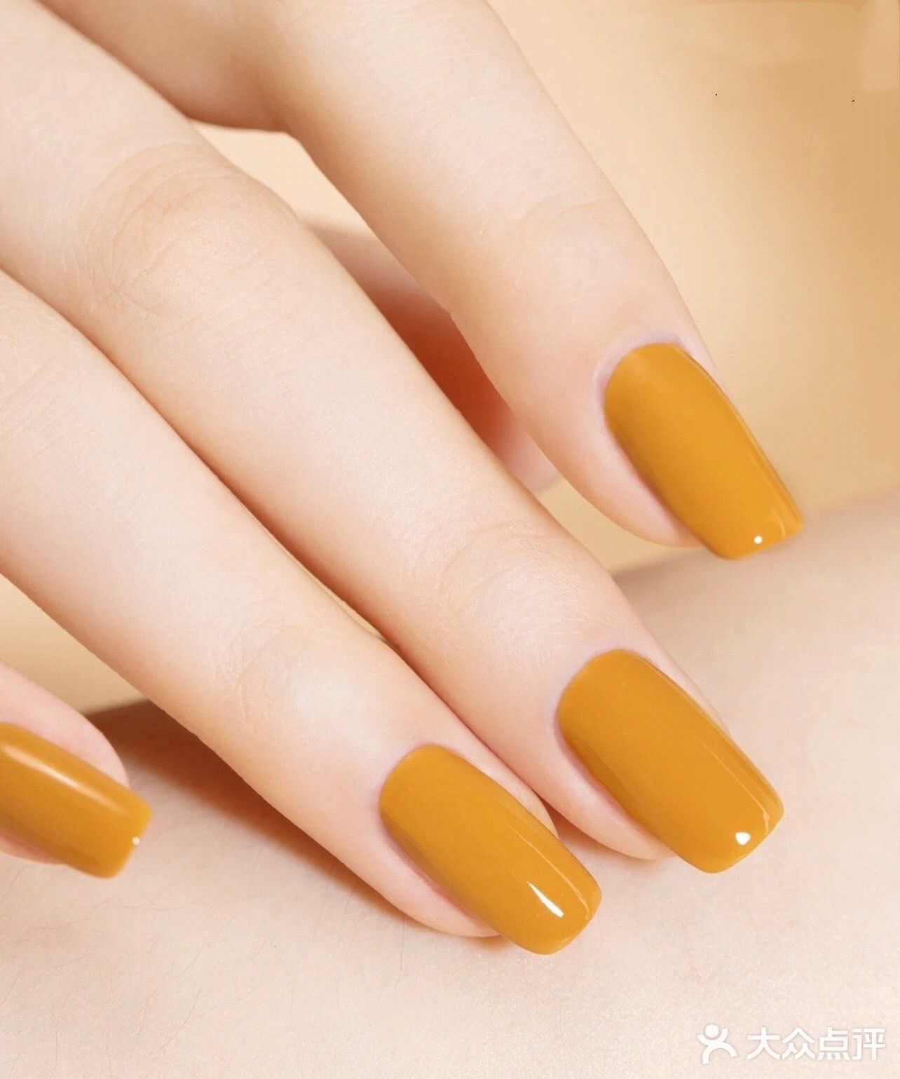 玫瑰豆沙：可甜可盐，上手显白