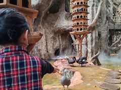 -长鹿旅游休博园