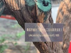 -北京鲁迅博物馆(北京新文化运动纪念馆鲁博馆区)