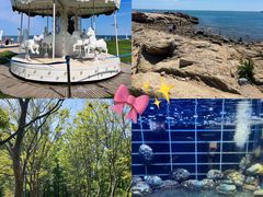 -巧克力渔家.小船海鲜胶东菜(万平口店)