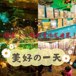 -恐龙探索乐园(磁器口店)