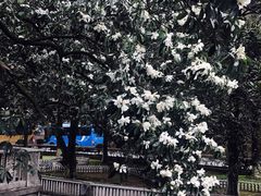 -来韶饭店