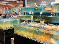 -阳江餐厅·30年老字号·粤菜海鲜大排档