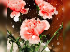 -BOBLOOM花店(宝龙旭辉广场店)