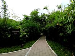 -望江楼公园