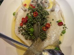 -海派悦庭·海胆烧麦·新融合菜(凯德广场店)