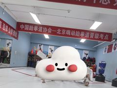 -嗨动跆拳道体能馆(菜百店)