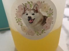 -Husky Go! 哈士奇体验馆·宠物咖啡厅狗咖