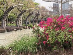 -映月湖公园