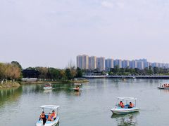 -八大山人梅湖景区