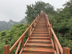 -大岭沟猕猴桃谷风景区