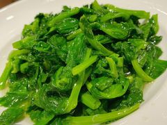 酒香豆苗-老吉士(环贸iapm店)