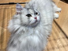 -工联CC