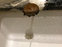 -碧桂园凤凰城酒店(南京店)