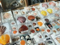 -浙江自然博物院(杭州馆)