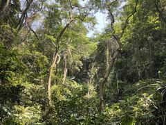 -阳台山森林公园