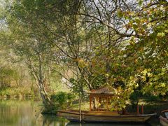 -西溪国家湿地公园