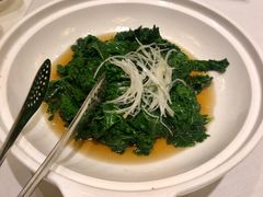 芥蓝-九十九顶毡房(阜石路店)