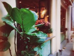 -Apollo·西班牙小酒馆(安福路店)