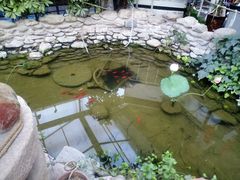 -老磨油饼(高陵店)