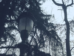 iphone_upload_pic-八大关景区