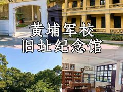 -长洲岛