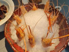 -HOMES上海本帮菜(襄阳公园店)