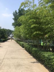 -上美四季动物农场