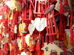 -蜀厨小匠(蒲江店)