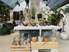 -自由生长植物工作室(深港花卉中心店)
