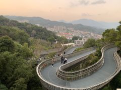 -福道