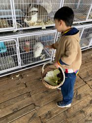 -小蜜蜂农场(凯德七宝购物广场店)