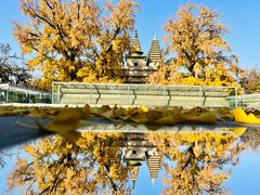 -北京石刻艺术博物馆(五塔寺)