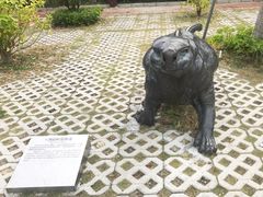 -广东惠东海龟国家级自然保护区
