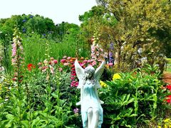 -上海共青森林公园