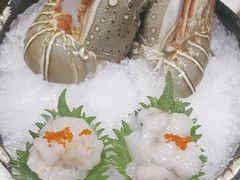 -daozao料理美术馆(东营店)