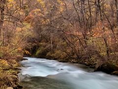 -叠溪松坪沟景区