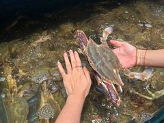 -小厨师·二十年沈家门小海鲜(百井坊巷店)