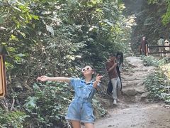 -西双版纳原始森林公园