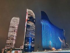 -演武大桥观景平台