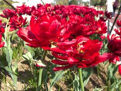 -一天好养生火锅·衢州人自己的火锅(阳光水岸店)