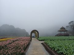 -广州市石门国家森林公园
