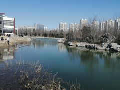 -绿岛公园(滨海新区)