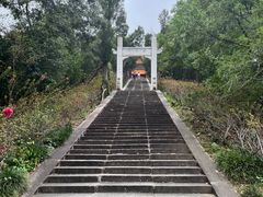 -深圳仙湖植物园