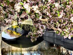 -海棠花溪(元大都城垣遗址公园)