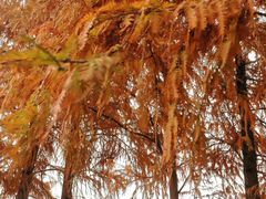 -海兰云天度假区温泉