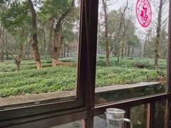 -野蔓果·山野菜(西湖景区·龙井茶田店)