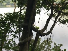 -广州市石门国家森林公园