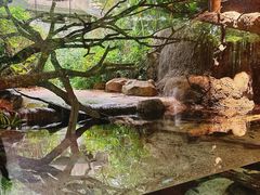 -河川生态园