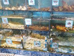 -范饭椰林川湘味海鲜·椰子鸡(三亚湾椰梦长廊店)
